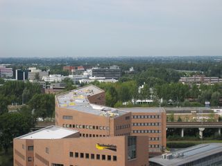 gouwevogel0017