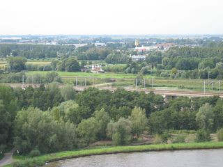 gouwevogel0020