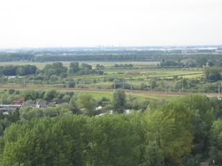 gouwevogel0021