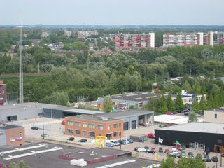 gouwevogel0025