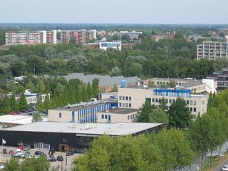 gouwevogel0026