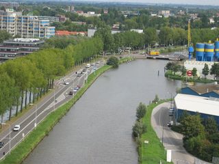 gouwevogel0027