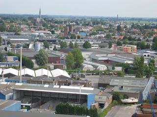 gouwevogel0029