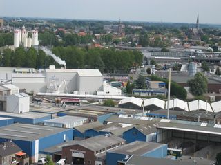gouwevogel0030