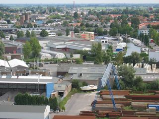 gouwevogel0040