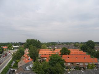 IMG 0082