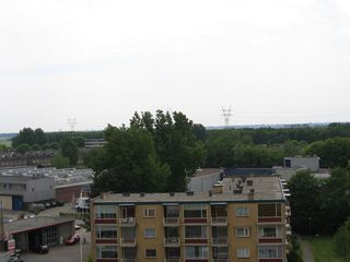 IMG 0089