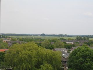 IMG 0092