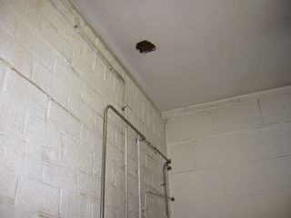 img 0956