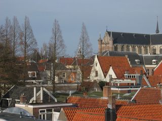 img 9835