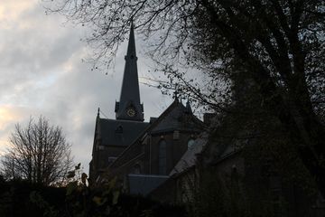 IMG 0832