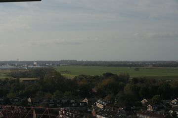 IMG 6520