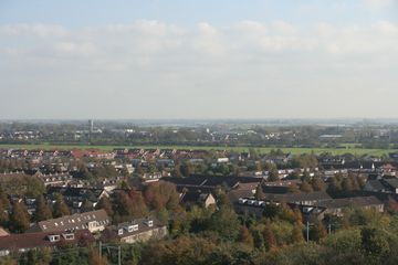 IMG 6531
