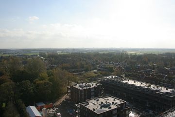 IMG 6544