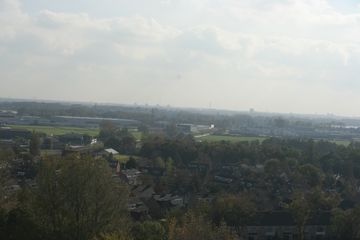IMG 6547
