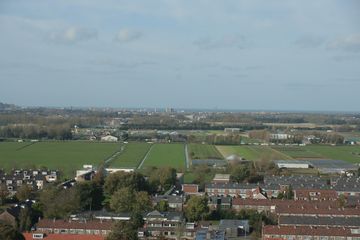 IMG 6585