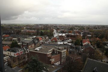 IMG 0723