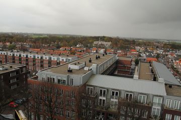 IMG 0732