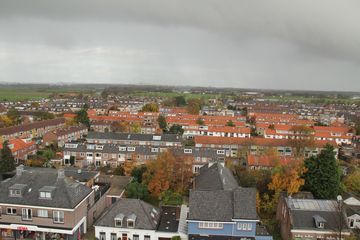 IMG 0738