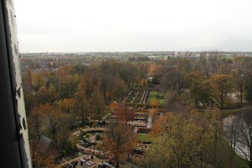 IMG 0739