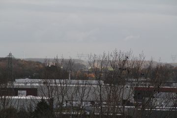 IMG 0757