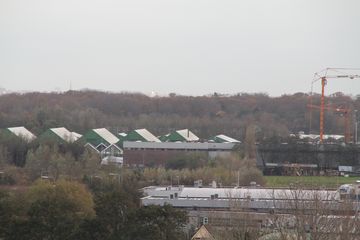 IMG 0774
