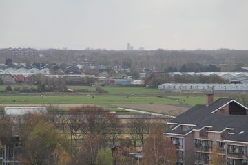 IMG 0792
