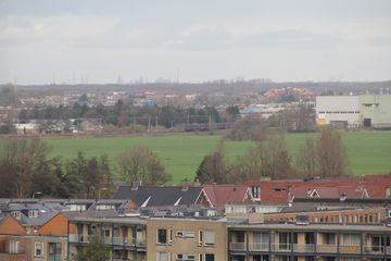 IMG 0794