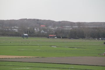 IMG 0812