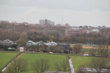 IMG 0815