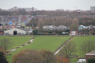 IMG 0821