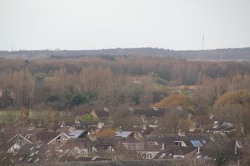 IMG 0824