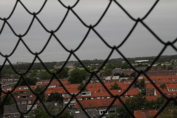 RES-IMG 8672