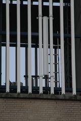 RES-IMG 7955