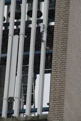 RES-IMG 7982