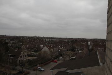 IMG 7915
