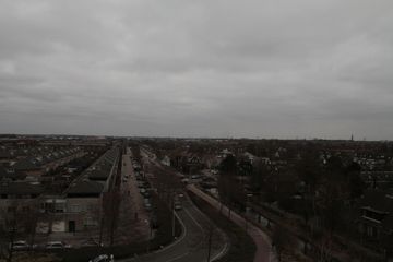 IMG 7916