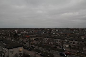 IMG 7917