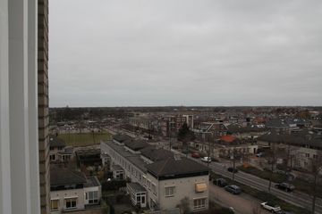IMG 7918