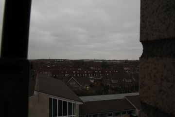 IMG 7919