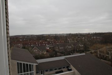 IMG 7921