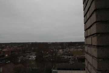 IMG 7924