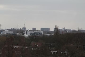 IMG 7925