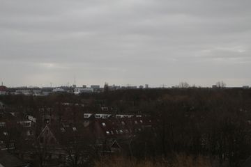 IMG 7926