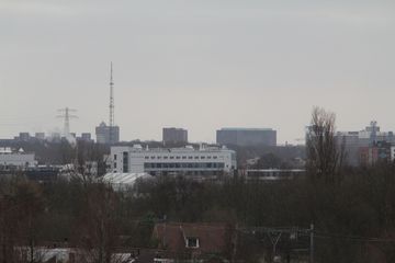 IMG 7927