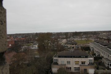IMG 7931