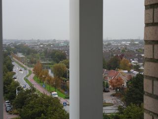 Teylingen-SiteSurvey-2012-013