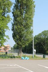 IMG 4576