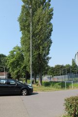 IMG 4577