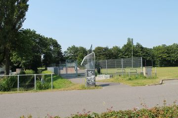 IMG 4578